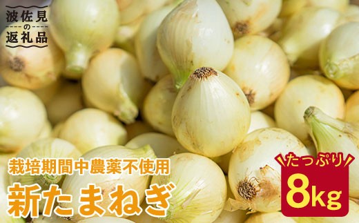 玉ねぎ 有機栽培の人気商品 通販 価格比較 価格 Com