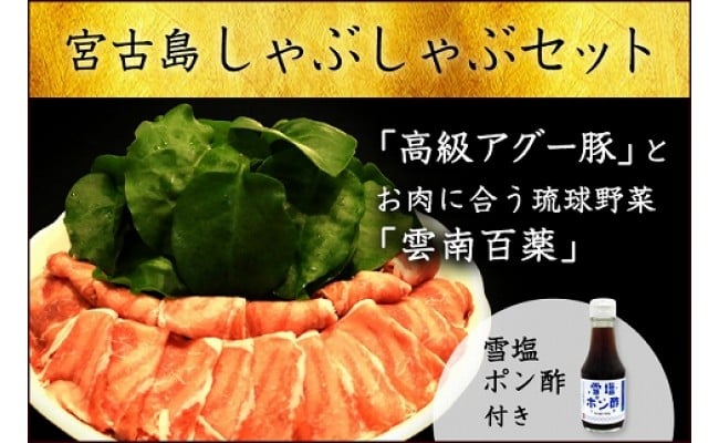 受付停止 高級アグー豚しゃぶしゃぶ用800g お肉に合う琉球野菜 雲南百薬のセット 沖縄県宮古島市 ふるさと納税 ふるさとチョイス