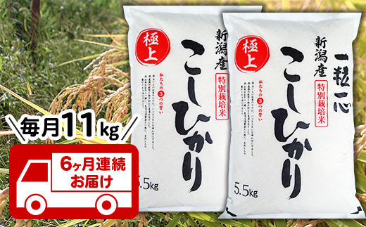 【6ヶ月連続お届け】新潟県長岡産特別栽培米コシヒカリ11kg【令和元年産】