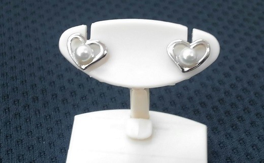 yOdHszJ-64ɐu{^xr[p[sAXin[gj