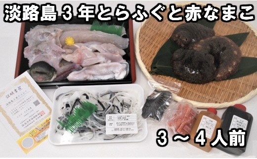 B0 季節限定 淡路島3年とらふぐ1匹と赤ナマコ 兵庫県洲本市 ふるさと納税 ふるさとチョイス