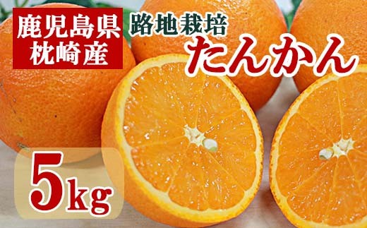 画像はイメージです。