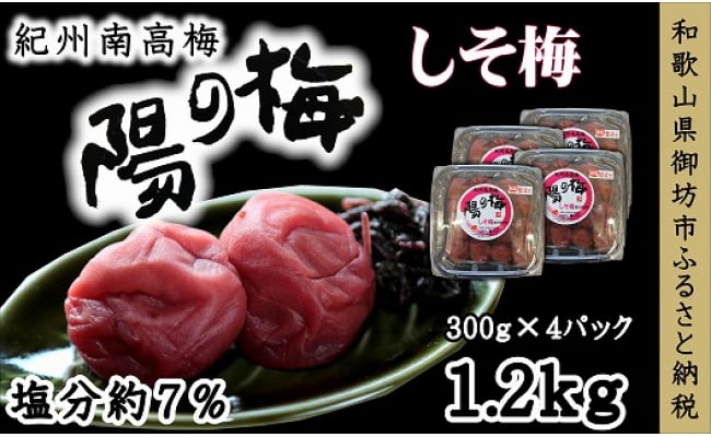 紀州南高梅 しそ梅3Lサイズ 合計1.2kg（塩分7％） - 和歌山県御坊市｜ふるさとチョイス - ふるさと納税サイト