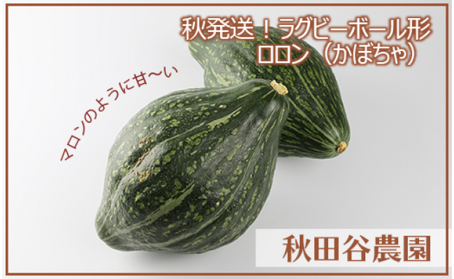 年秋発送 ラグビーボール形 ロロンかぼちゃ10kg 秋田谷農園 北海道岩見沢市 ふるさと納税 ふるさとチョイス