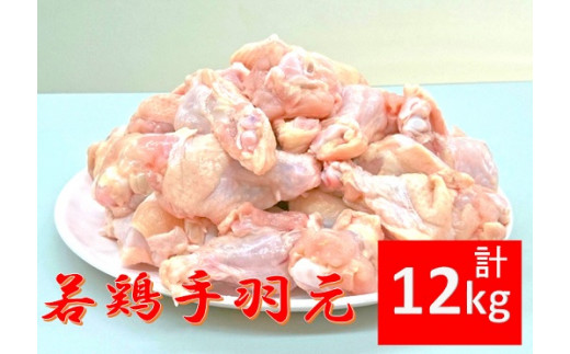 手羽元12kg(画像はイメージです)