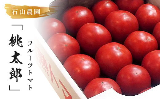 【静岡県掛川市】１７９　　美味しんぼに登場したトマト「桃太郎」１６〜25玉 ランク：完熟　糖度8度以上　石山農園（ギフト箱入）完熟フルーツトマト