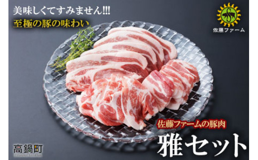 高鍋町産 佐藤ファームの豚肉 雅セット合計2.1kg＞翌月末迄に順次 