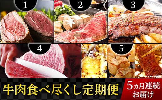 【5ヶ月連続お届け】牛肉食べ尽くし定期便