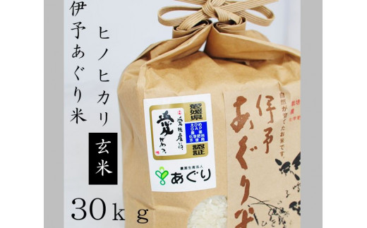 【Ｆ-８】★新米をお届けします！！★農薬・化学肥料不使用　伊予あぐり米「ヒノヒカリ」（玄米30ｋｇ） のサムネイル