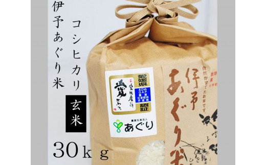 【Ｆ-７】★新米をお届けします！！★農薬・化学肥料不使用　伊予あぐり米「コシヒカリ」（玄米30ｋｇ） のサムネイル