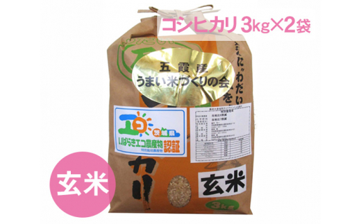 五霞町産うまい米コシヒカリ（玄米）6kg ／ お米 こしひかり 健康 茨城