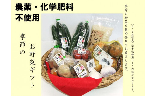 【Ｆ-20】農薬・化学肥料不使用　季節のお野菜ギフト（５～６種程度詰合）のサムネイル