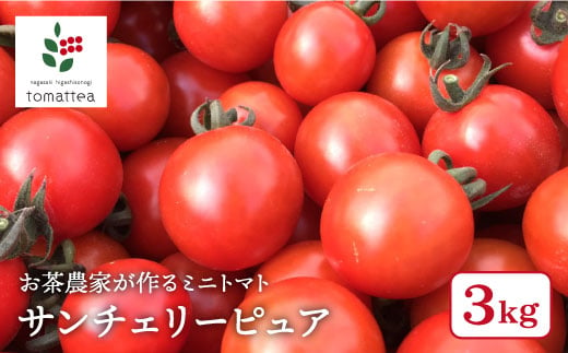食卓をもっと楽しく ミニトマト サンチェリーピュア 3kg Tomattea Bar002 長崎県東彼杵町 ふるさと納税 ふるさとチョイス