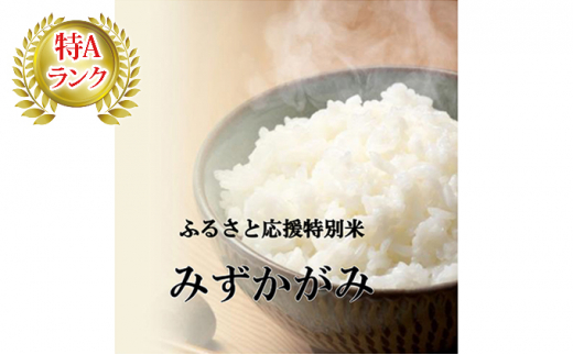 59 0227 令和2年産ふるさと応援特別米 定期配送12回 みずかがみ Bg無洗米 5kg 12ヶ月 滋賀県豊郷町 ふるさと納税 ふるさとチョイス