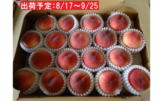 [№5823-0548]山形県産「白桃」約5kg・秀～優品16～20玉のサムネイル