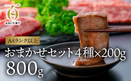 F2 01 片桐さんの おおいた和牛 おまかせ焼肉セット 計800g 大分県豊後高田市 ふるさと納税 ふるさとチョイス