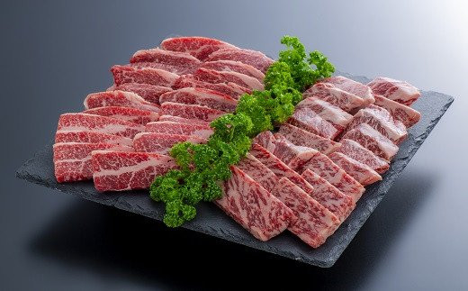 F2 01 片桐さんの おおいた和牛 おまかせ焼肉セット 計800g 大分県豊後高田市 ふるさと納税 ふるさとチョイス