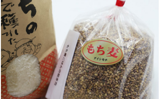 もち麦 5kgの通販 価格比較 価格 Com