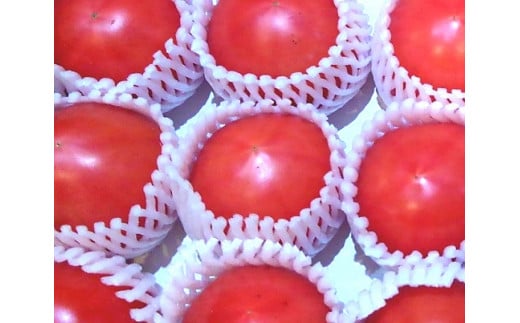 ya̎RLcszLcY̊ng}gi409j(A364-1)