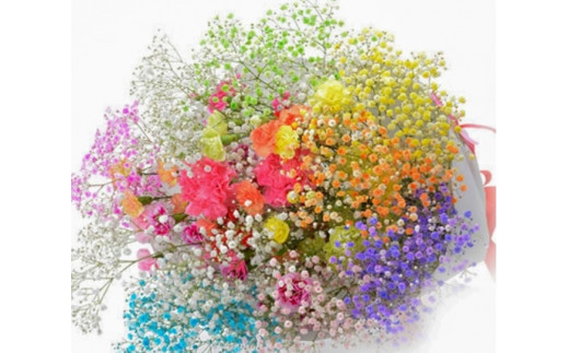 D1305 毎月50セット限定 七色に輝く生花 ロマンチックかすみ草 プレミアムスマイルブーケ 茨城県境町 ふるさと納税 ふるさとチョイス