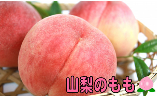 59 1533 先行受付 22年7月上旬から発送 山梨の桃 13 15玉入 信田農園 山梨県市川三郷町 ふるさと納税 ふるさとチョイス