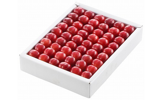 緊急支援！【4月発送】最高級ハウスさくらんぼ「佐藤錦」300g 特秀品 化粧箱 【限定100】 ＜緊急支援プロジェクト品＞　030-A05のサムネイル