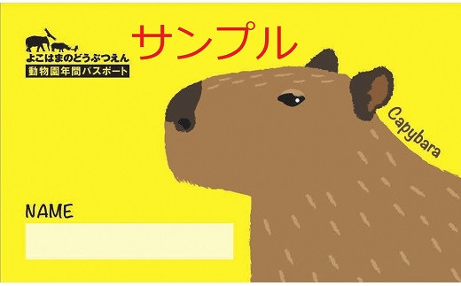 横浜市動物園基金 専用 横浜市立動物園 年間パスポート１枚 ふるさと納税限定デザイン ａ カピパラ 神奈川県横浜市 ふるさと納税 ふるさとチョイス