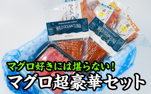 大ボリューム!尾鷲もちもちマグロを「頭」から「尾」まで楽しんでいただけます!