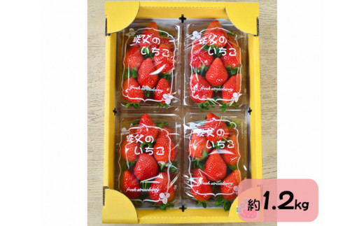 No.214 秩父のやよいひめ　約1.2kg ／ 苺 イチゴ いちご 果物 フルーツ 埼玉県 特産のサムネイル