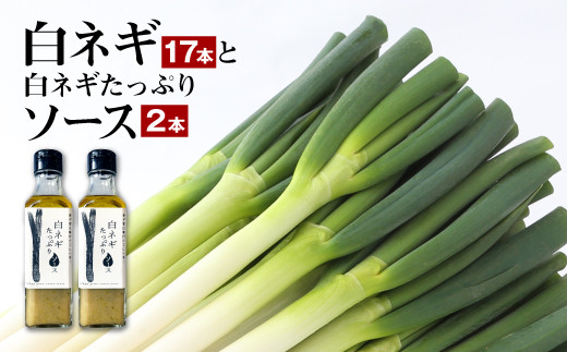 073-389 大分県産 白ネギ17本と白ネギたっぷりソース2本 セット - 大分