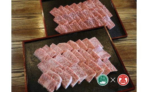 170 C16 大山黒牛焼肉セット 大山ブランド会 鳥取県米子市 ふるさと納税 ふるさとチョイス