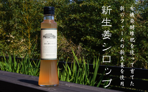新生姜シロップ 2ml 2本 兵庫県淡路市 ふるさと納税 ふるさとチョイス