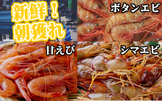※画像はイメージです。