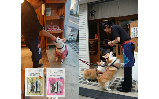 No 719 間食用ドッグフード 納豆 乳酸菌 犬用 4袋 ペットフード わんちゃん いぬ 秋田県 特産 秋田県横手市 ふるさと納税 ふるさとチョイス