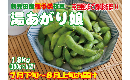 C15 根強い人気の枝豆！「湯あがり娘」 1.8kg - 新潟県新発田市 