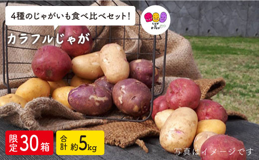 カラフルじゃがいも４種食べ比べセット ５kg じゃがのまつなが Ccc001 長崎県西海市 ふるさと納税 ふるさとチョイス