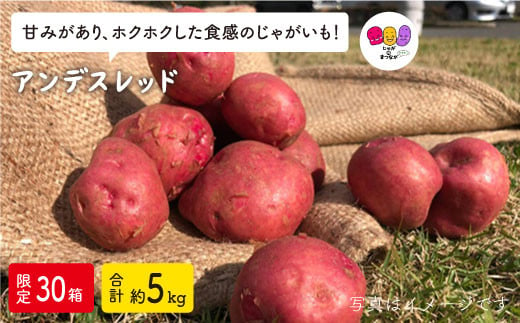 じゃがいも アンデスレッド ５kg じゃがのまつなが Ccc003 長崎県西海市 ふるさと納税 ふるさとチョイス