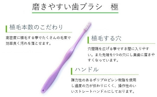 Ae 磨きやすい歯ブラシ 歯みがき四季折々 極12本セット 奈良県桜井市 ふるさと納税 ふるさとチョイス