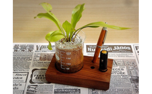 yʌє\szDesklab EHibg[52210256]