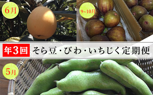 5月ごろ:そら豆
6月ごろ:びわ
11月ごろ:いちじく をお届けします。