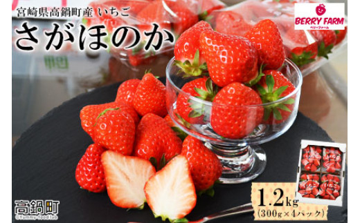 c621_dm ＜宮崎県高鍋町産 いちご「さがほのか」1.2kg＞1か月以内に順次出荷のサムネイル