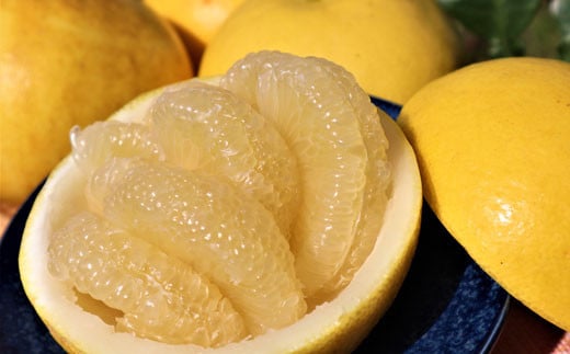 ymhюszX̓yU10kgiʁjƒp