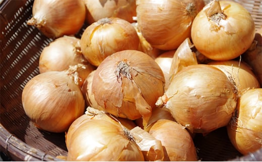 ykCzkC Y ʂ˂ 18kg Y kCY  Yn 