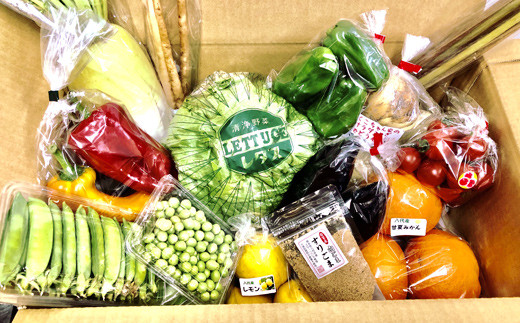 【定期便 毎月12ヶ月】生産者直売所発!おまかせ旬のお野菜・果物セット!