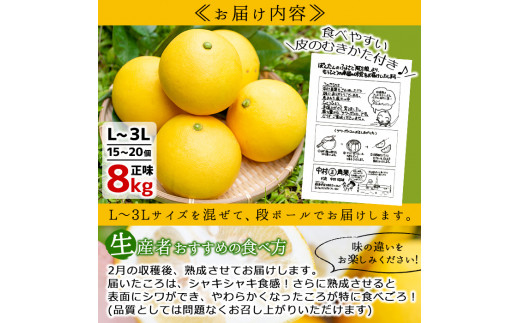 Akune 2 5 予約 数量限定 特選 サワーポメロ 正味8kg L 3lサイズを15 個お届け 鹿児島県阿久根産の柑橘系の果物 21年3月1日 3月日の間に発送予定 中村青果 2 5 鹿児島県阿久根市 ふるさと納税 ふるさとチョイス