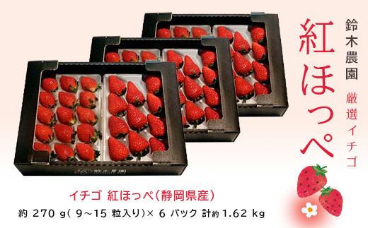 １０５９ イチゴ 紅ほっぺ 静岡県産 270ｇ 6パック計1 6 令和３年3月25日から順次発送 鈴木農園 静岡県掛川市 ふるさと納税 ふるさとチョイス