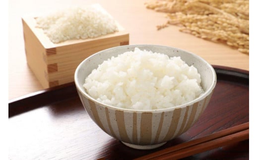 【令和2年新米】富士吉田産ミルキークイーン 2.3kg×2袋