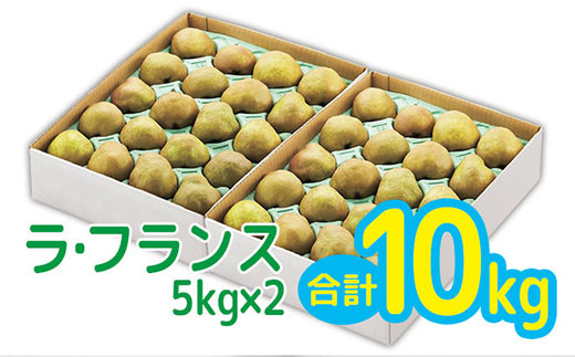 サンプル写真