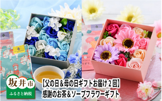 父の日 母の日ギフトお届け2回 感謝のお茶 ソープフラワーギフト 令和3年度 先行予約 B 3215 福井県坂井市 ふるさと納税 ふるさとチョイス