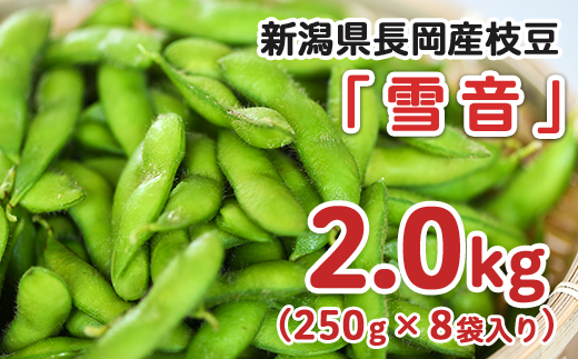 75E-17新潟県長岡産枝豆2.0kg【雪音250g×8袋入り】 - 新潟県長岡市